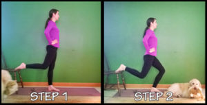 bulgarian squat